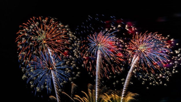 Feux d&#39;artifice sur le fond du ciel.