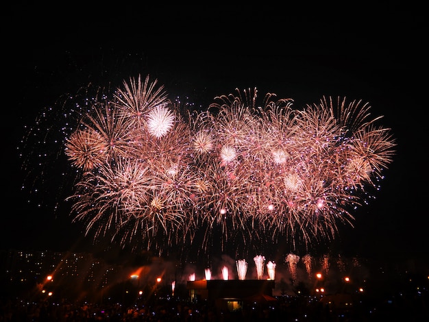 Des feux d'artifice illuminent le ciel avec un écran éblouissant.