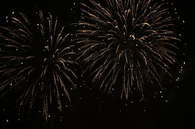 Des feux d'artifice jaunâtres et éblouissants explosent sur un ciel sombre.