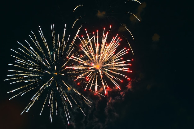 Feux d'artifice lumineux dans le ciel nocturne