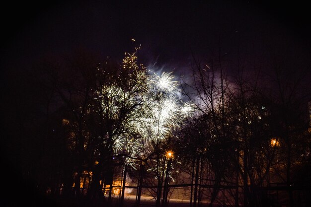 Feux d'artifice multicolores sur le ciel nocturne