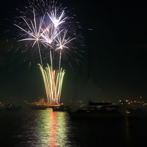 Feux d'artifice de vacances colorés rouges sur le ciel noir