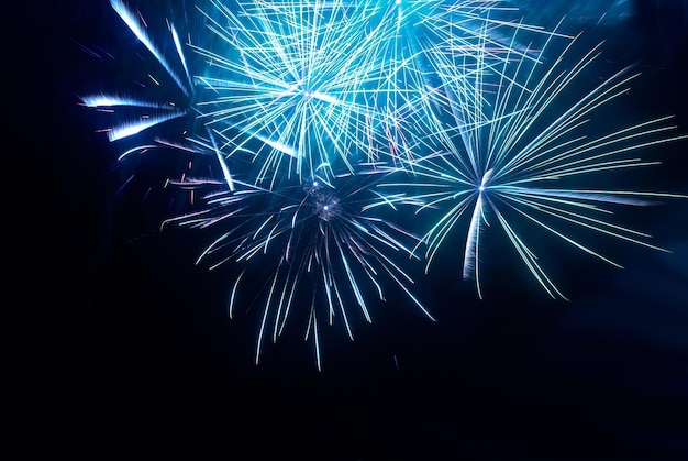 Feux d&#39;artifice vecteur téléchargement gratuit