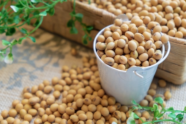 Fève de soja dans un seau blanc et boîte brune sur un sac. Nettoyer les aliments sains pour bien manger.