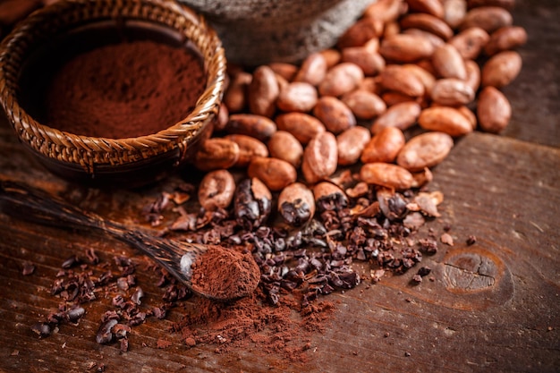 Fèves de cacao bio