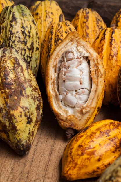 Fèves de cacao et cabosses de cacao sur une surface en bois