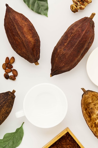 Les fèves de cacao en cabosses sur fond blanc