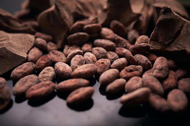 Fèves de cacao et chocolat sur fond sombre gros plan