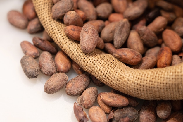 Fèves de cacao crues dans un sac en toile de jute