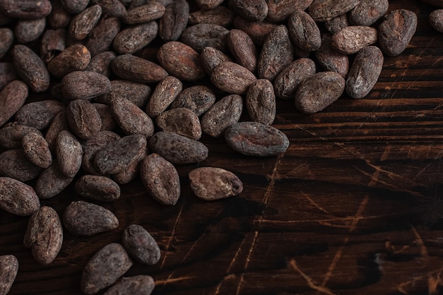 Fèves de cacao crues deux types Venezuela sur fond marron.