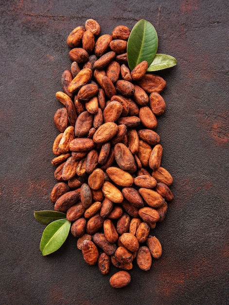 Fèves de cacao crues