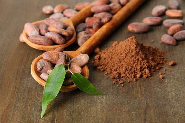 Fèves de cacao en cuillères et poudre de cacao sur fond de bois