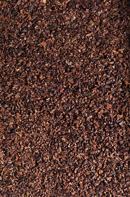 Fèves de cacao écrasées