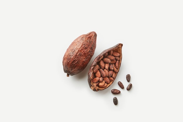 Fèves de cacao non pelées en cosse