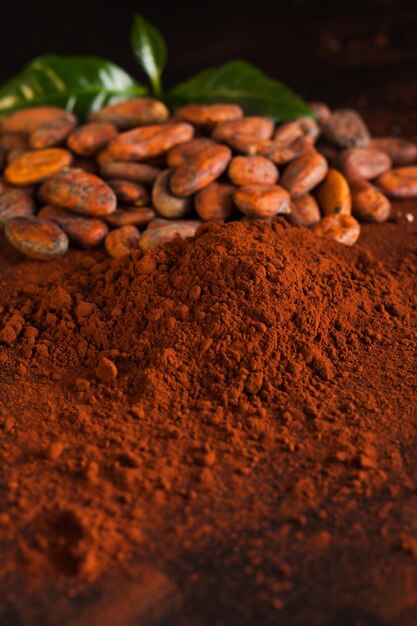 Fèves de cacao et poudre de cacao. Ingrédient pour la préparation du chocolat, gros plan