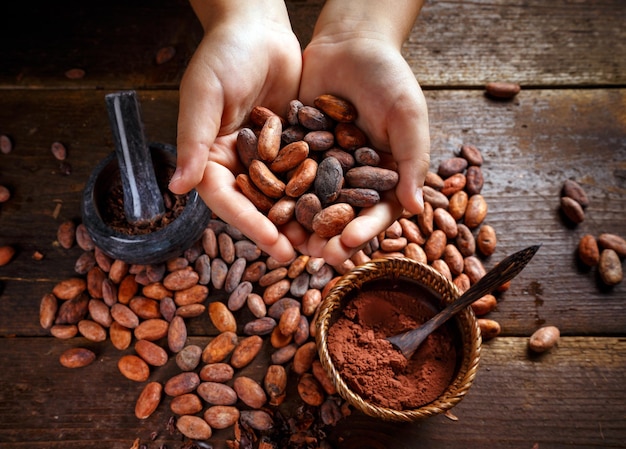 les fèves de cacao