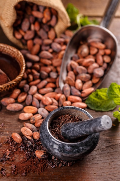 les fèves de cacao