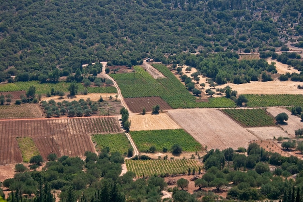 Field, Monte Enos - Céphalonie, Grèce