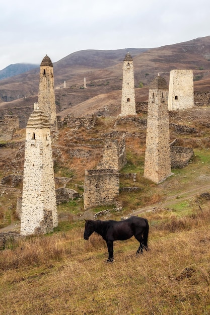 Fier cheval noir sur fond d'anciennes tours de bataille en Ingouchie Complexe de tours médiévales Erzi l'un des plus grands villages de tours de type château médiéval