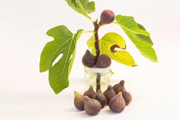 Photo figues naturelles avec fond d'arbre blanc