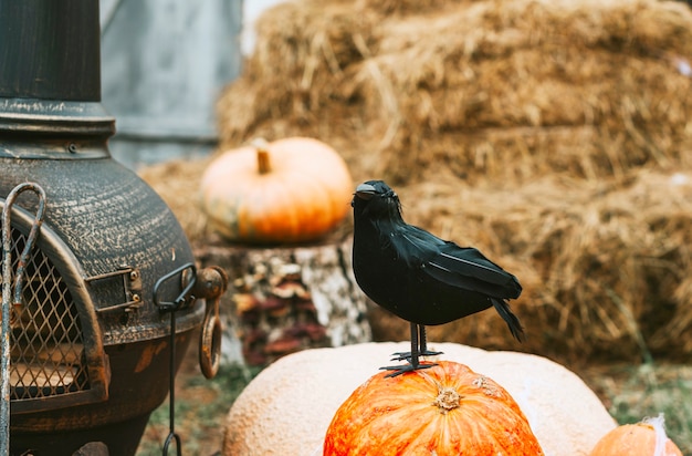 Figure du corbeau noir sur le porche d'une maison décorée pour célébrer une fête d'Halloween