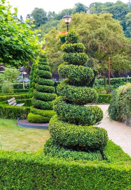 Figure en forme de tourbillon abstrait des buissons, parc d'été en Europe. Jardinage professionnel, paysage vert européen, décoration de plantes de jardin
