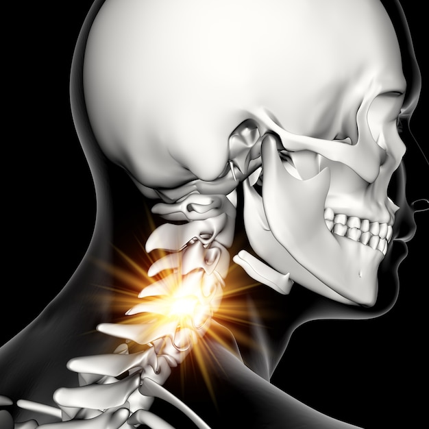 Figure médicale masculine 3D avec les os du cou mis en évidence