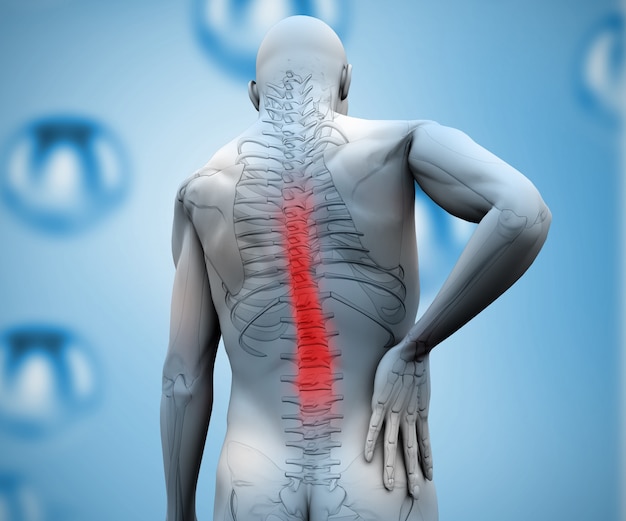 Figure numérique avec douleur au dos en surbrillance