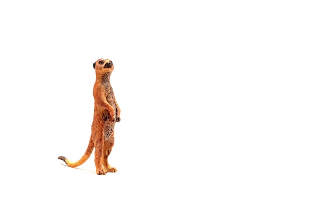 Figurine suricate