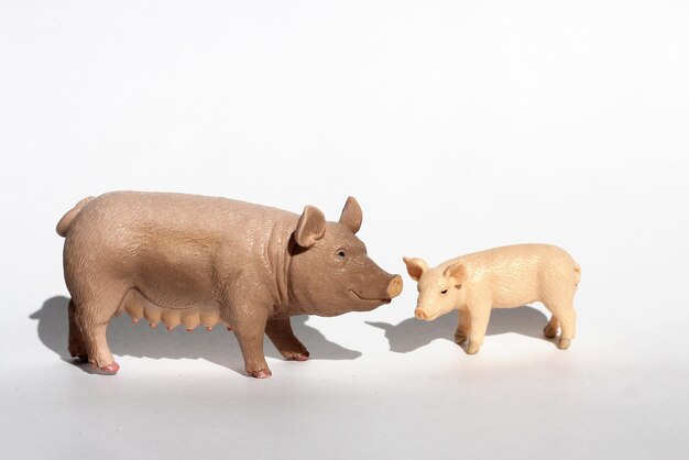 Des figurines d'animaux cochons vivant sur un stand de ferme par paires avec leurs enfants Développement précoce pendant le jeu