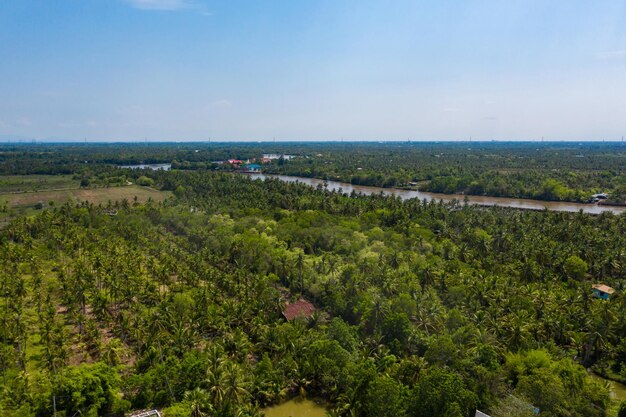 Fiield vue drone montre l'horizon horizon avec forêt et ferme au-dessus de l'arrière-pays de la province de Chachoengsao en Thaïlande