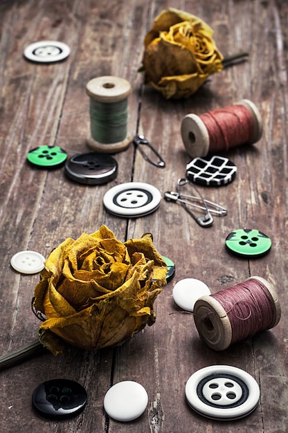 Fil à coudre, avec des boutons sur un fond en bois avec des boutons séchés roses jaunes