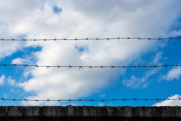 Photo fil de fer barbelé contre le ciel nuageux pour une protection de prison ou pour toute autre zone interdite