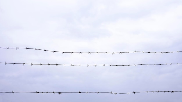 fil de fer barbelé contre un ciel nuageux