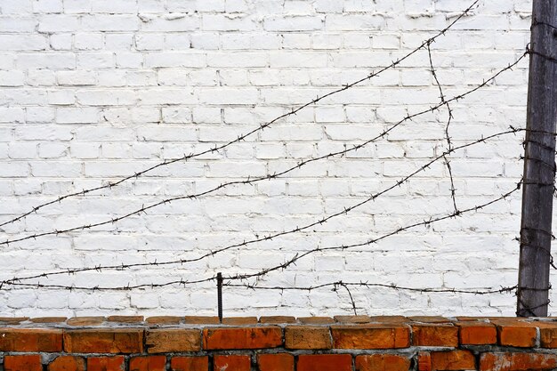 fil de fer barbelé sur un mur de briques