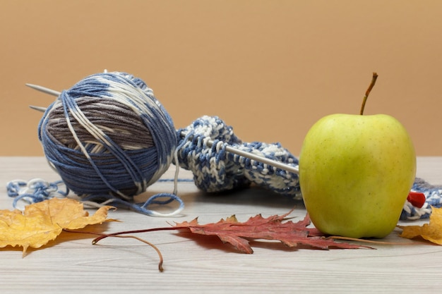 Fil de laine pour tricot Pelote de laine naturelle et aiguilles à tricoter