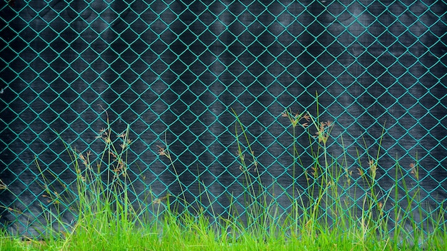 Fil métallique de cage vert devant une toile noire