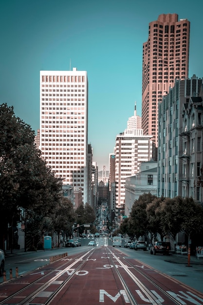 Filbert Street la rue la plus raide de la ville de San Francisco