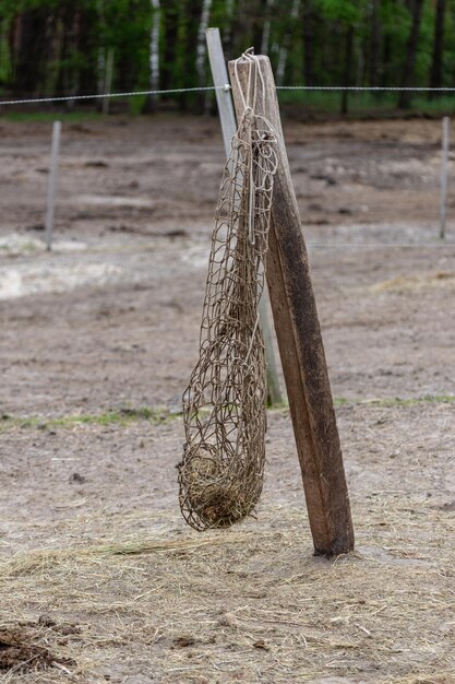 Un filet de foin pour nourrir les chevaux