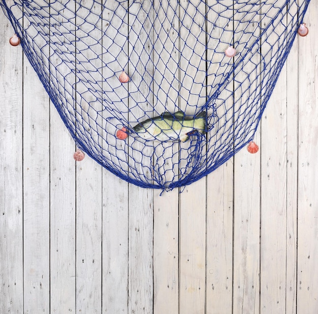 filet de pêche bleu sur un mur en bois blanc