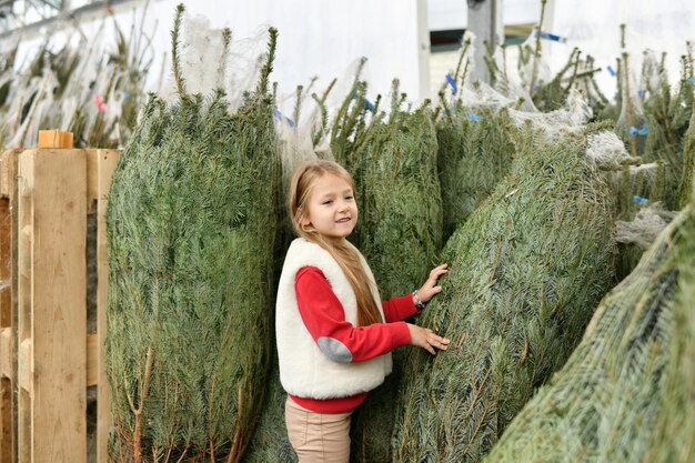 Une fille achetant un sapin normand de Noël dans un magasin