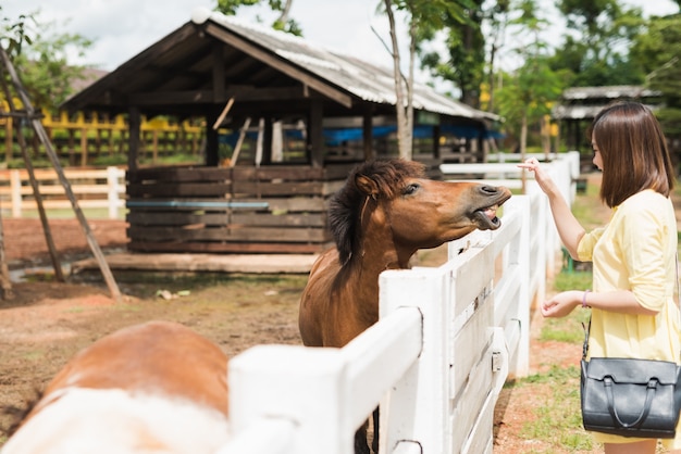 Photo fille d'asie jouant avec poney au zoo