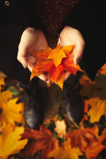 La fille aux mains ouvertes tient une feuille jaune dans la forêt. Fond d'automne.