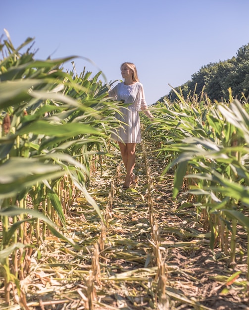 Fille de beauté sur le champ de maïs d'été sur bleu ciel clair. Heureuse jeune femme en bonne santé, profitant de la nature à l'extérieur. Femelle de course et de filature. En volant. Libre, concept de liberté, environnement