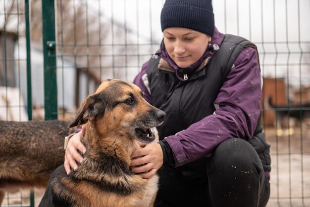 Photo une fille bénévole dans la pépinière pour chiens, un refuge pour chiens errants.