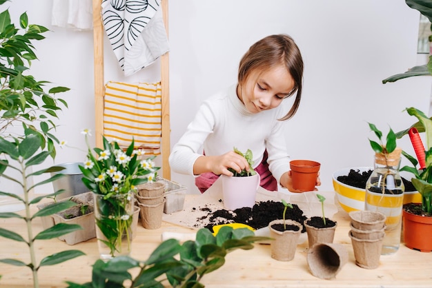 Fille bienveillante plantant une jeune plante dans un pot sur une table Tas de terre à la surface