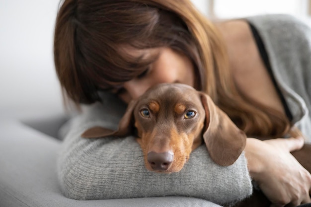 Fille caressant un petit chien teckel sur le canapé à la maison Fille caressant un petit chien teckel