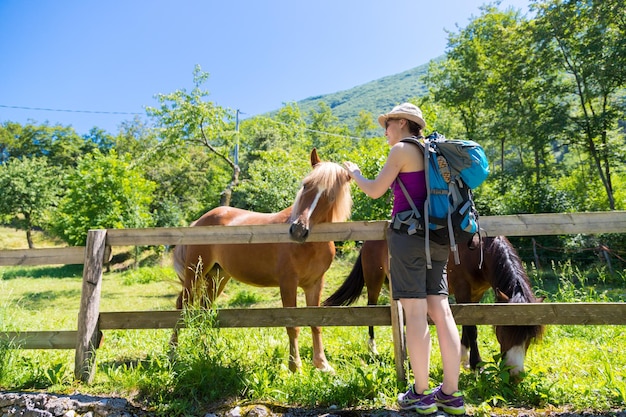 La fille caresse un paddock curieux de cheval