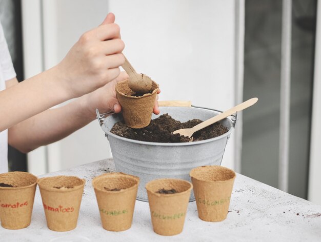 Une fille caucasienne dans un t-shirt gris verse de la terre avec une cuillère en bois dans des verres en carton