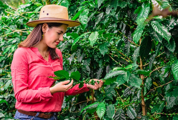 Fille avec chapeau et chemise rose dans la plantation de café